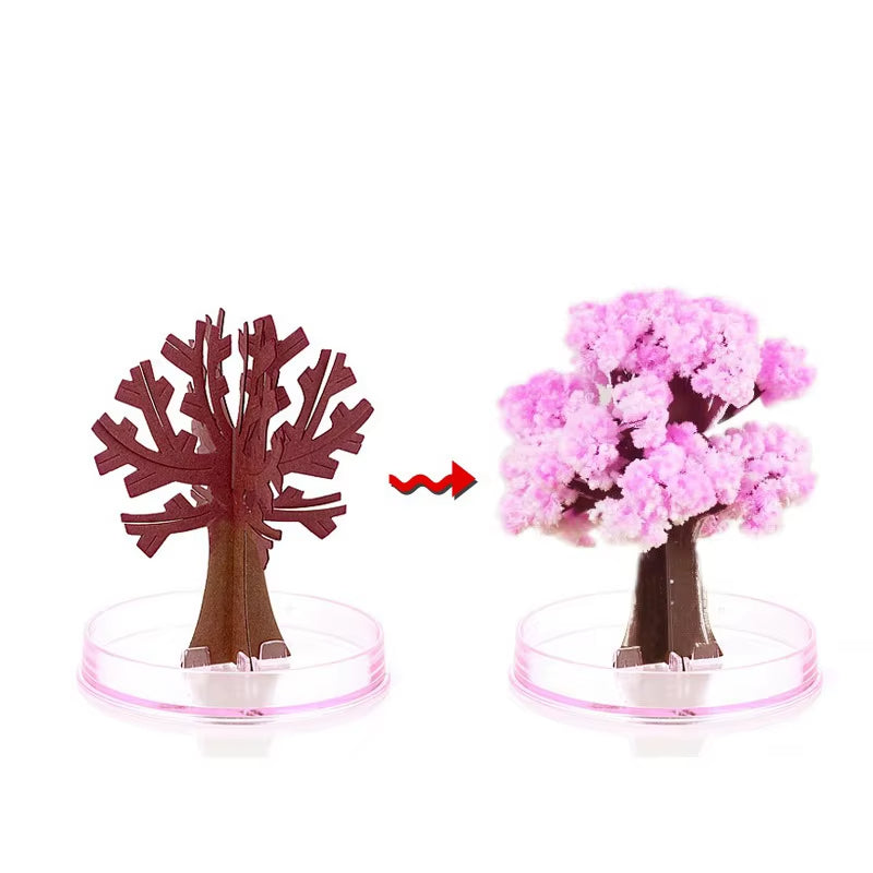 DIY Growing Paper Tree