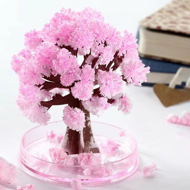 DIY Growing Paper Tree