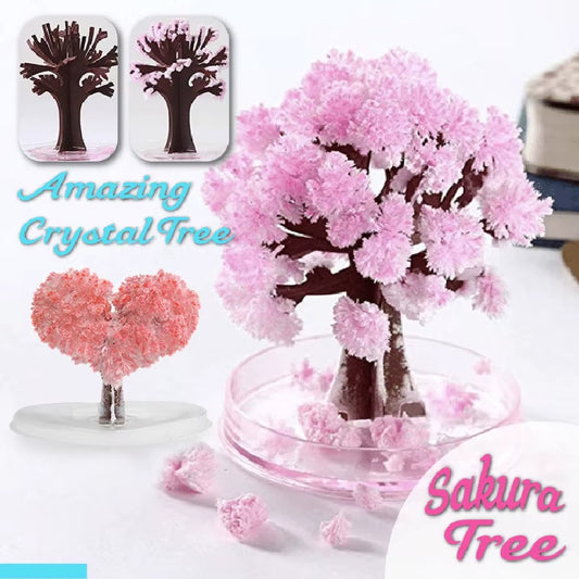 DIY Growing Paper Tree