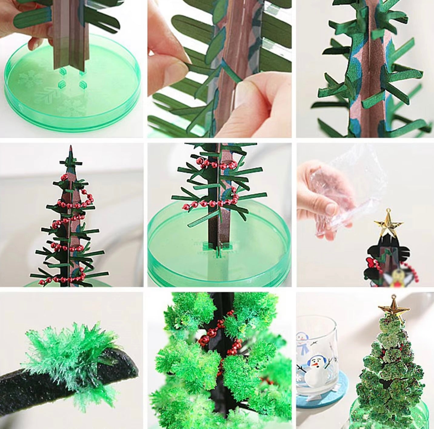 DIY Growing Paper Tree