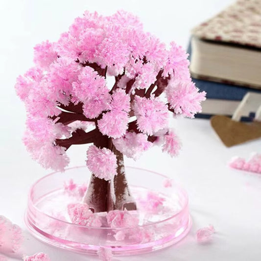 DIY Growing Paper Tree
